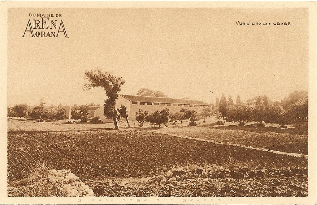 313-domaine Arena,3.JPG